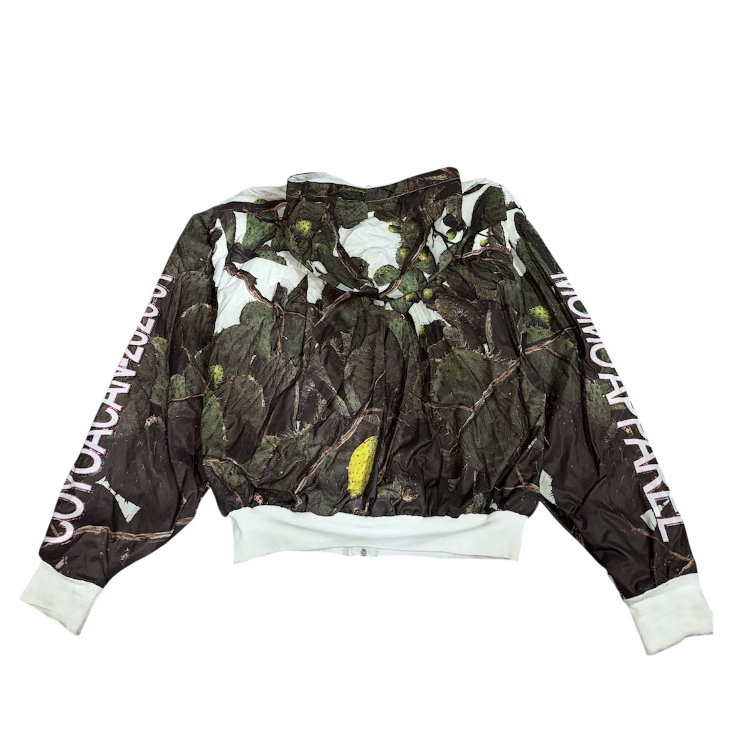 Rompevientos real-cactus